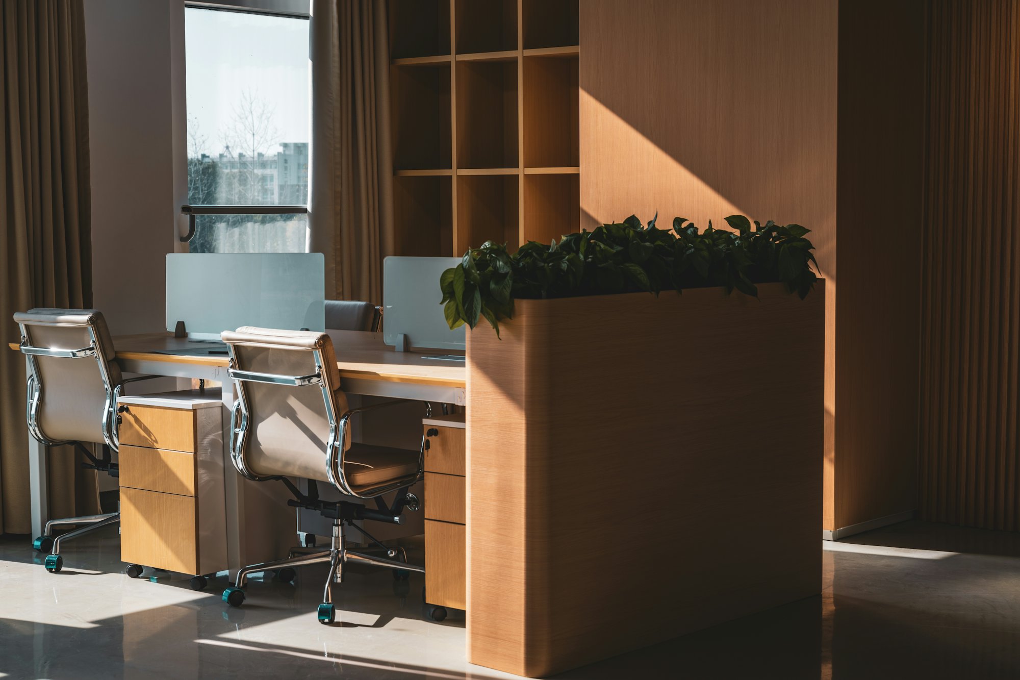 Sunlit modern office with oak desks, cream chairs and a wooden planter